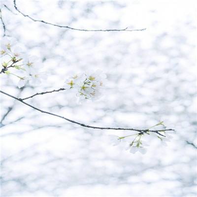 万神记官方手游下载